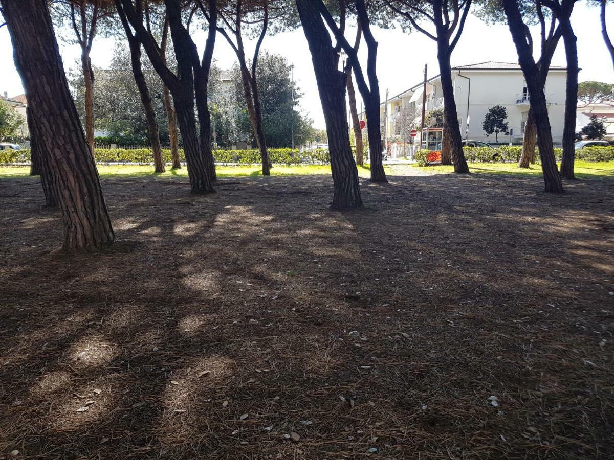 Il Don Minzoni 98 "Casa Vacanze" ลิโด ดิ กามาโยเร ภายนอก รูปภาพ